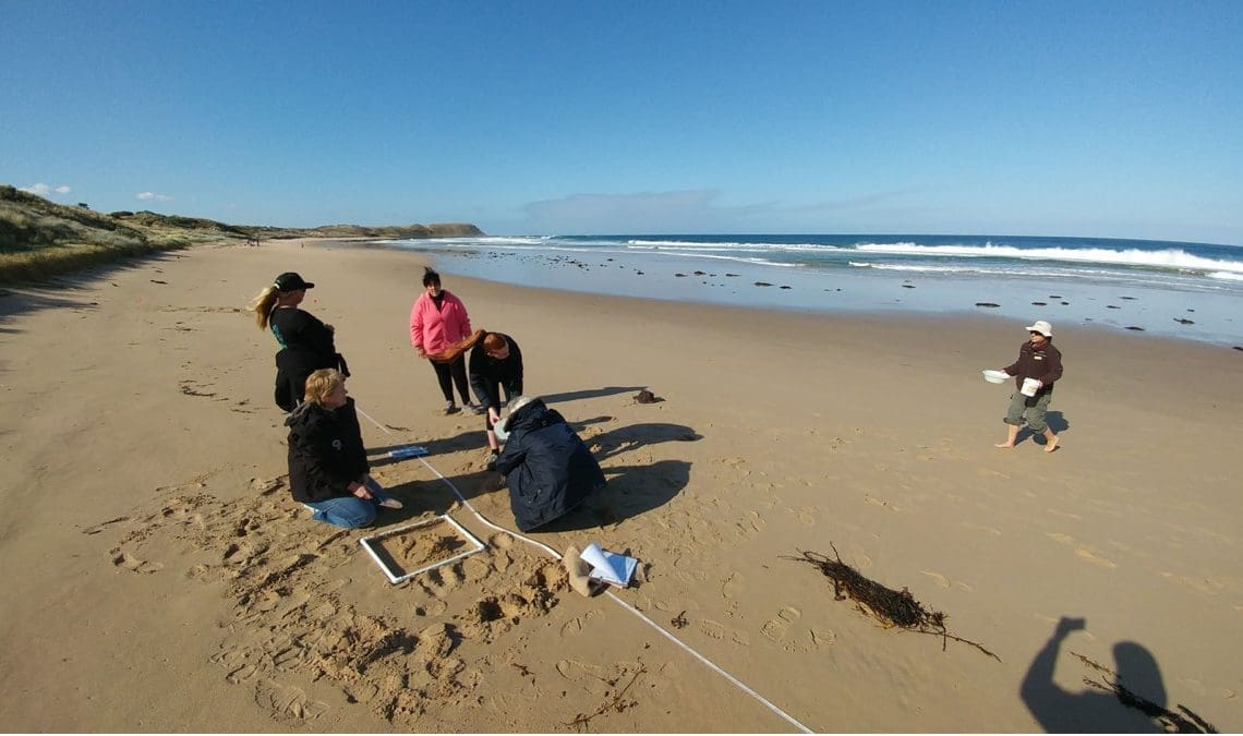 AUSMAP conducts workshop on microplastics in Phillip Island Nature ...