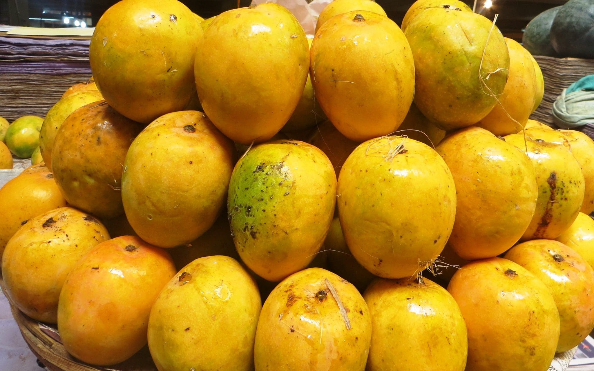 rich-and-sweet-mangoes-of-maharashtra-today-s-traveller-travel