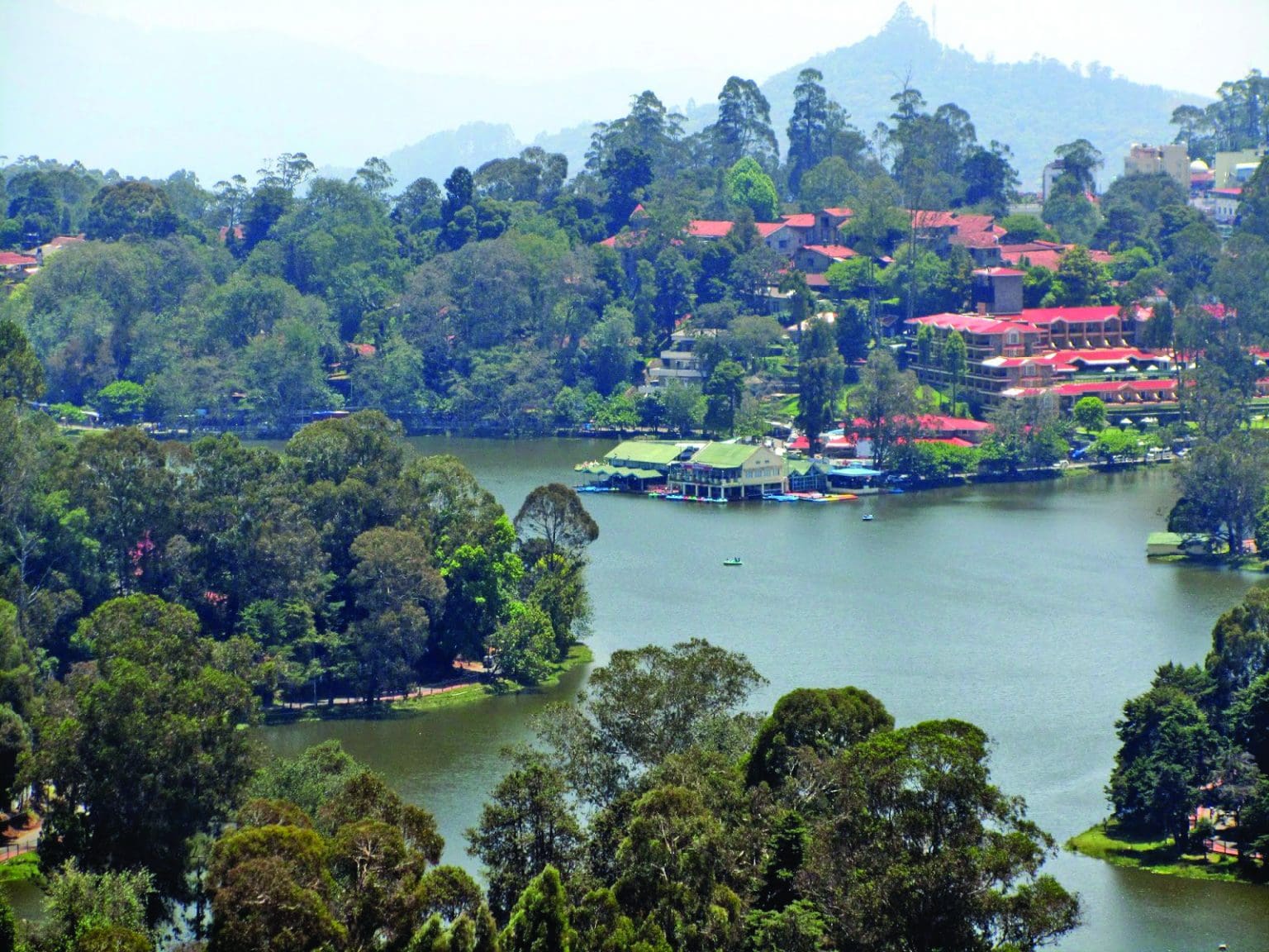 A gift of the forests of Kodaikanal in 2021 - Today’s Traveller ...