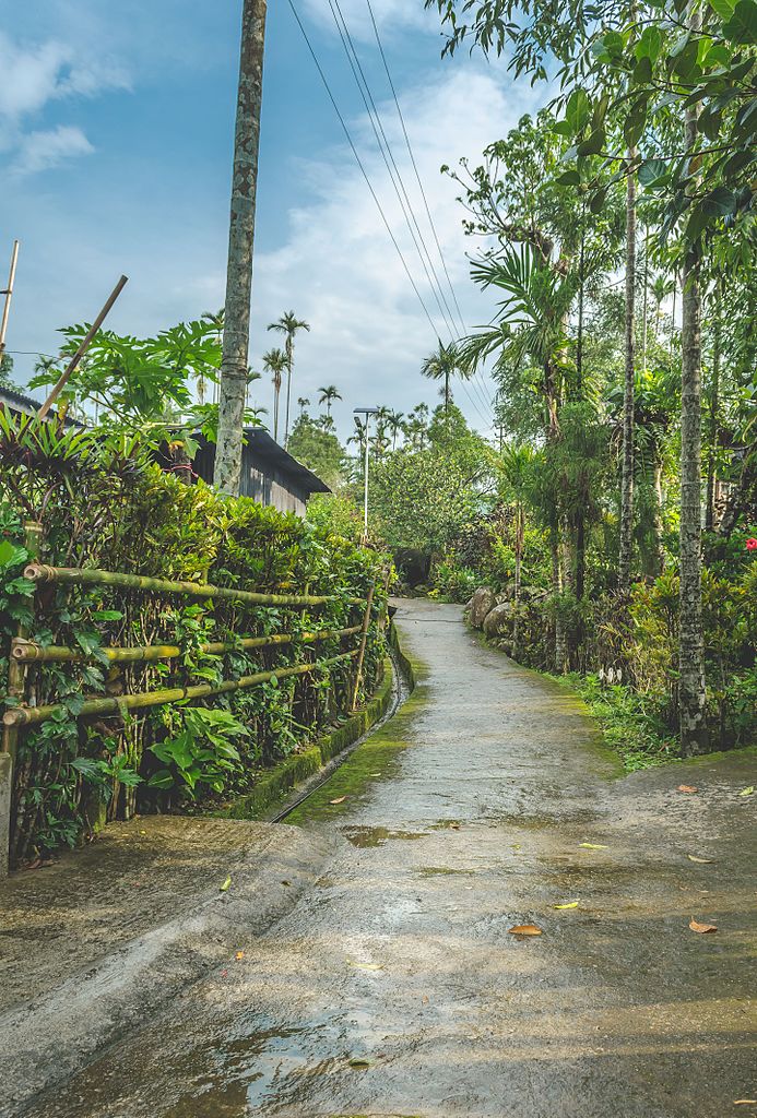 Street in Mawlynnong Magical Season: 14 Must-Visit Places to Travel in August