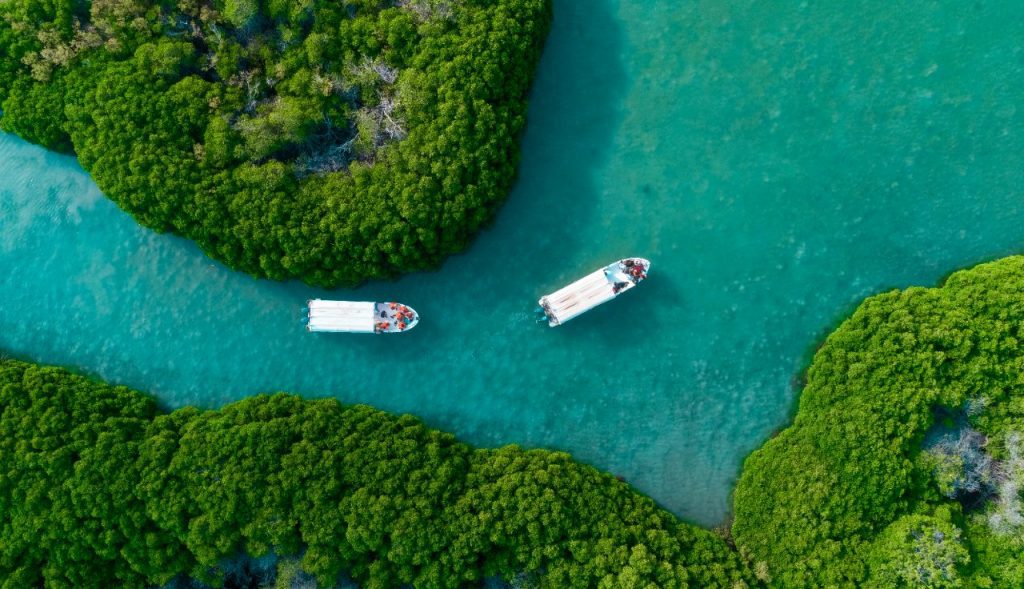 Farasan Islands