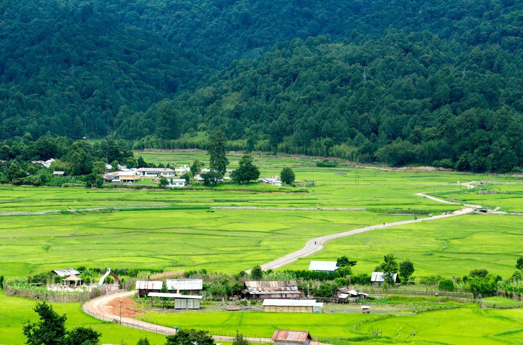 A section of Ziro valley Escape the Ordinary: 9 Great Offbeat Adventure Getaways in India