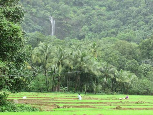 Kuskem Waterfall, South Goa