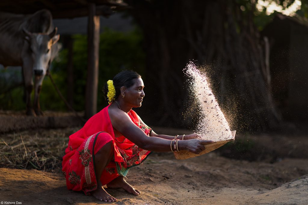 (Indian photographers triumph)Indian photographer Kishore Das won The Philip Harben Award for Food in Action category with ‘Rice Grain Threshing’. 