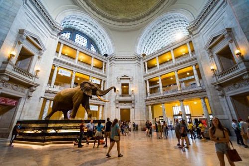 Smithsonian Nighttime Adventures- Museums of Washington, DC