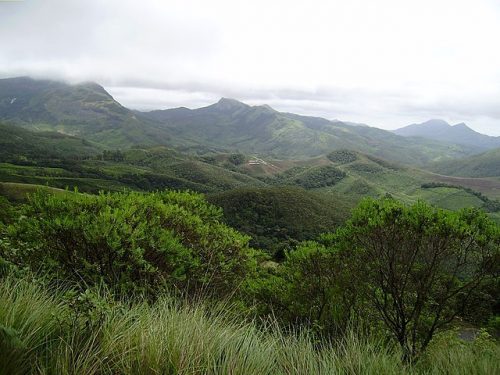 Eravikulam National Park, Munnar Image courtesy: Jaseem Hamza via Wikipedia Commons