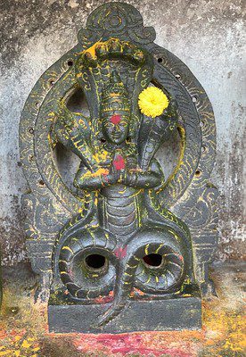 The Snake God. Someshwara temple, Bangalore Image courtesy: Rajeev Rajagopalan via Flickr