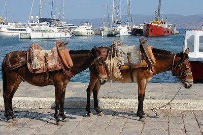 Burros and Boats, Hydra, Greece. Image courtesy Sharon Mollerus via Flickr - Extraordinary new places