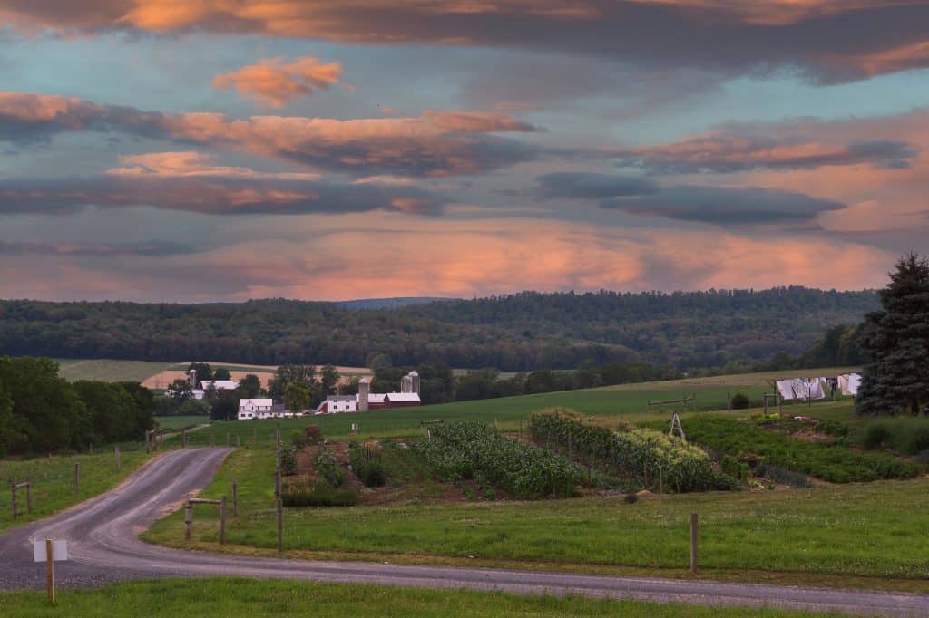 Farm_view_from_Goot_Essa_-_Nichole_Yatta