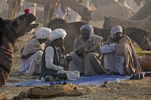 Pushkar Mela at Rajasthan ( Source: Flickr )- festivals of November