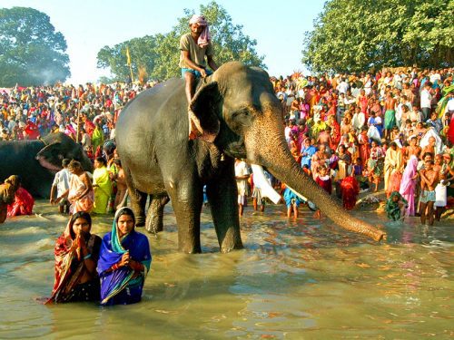 Sonpur Mela in Bihar ( source: Wikimedia Commons )- festivals of November