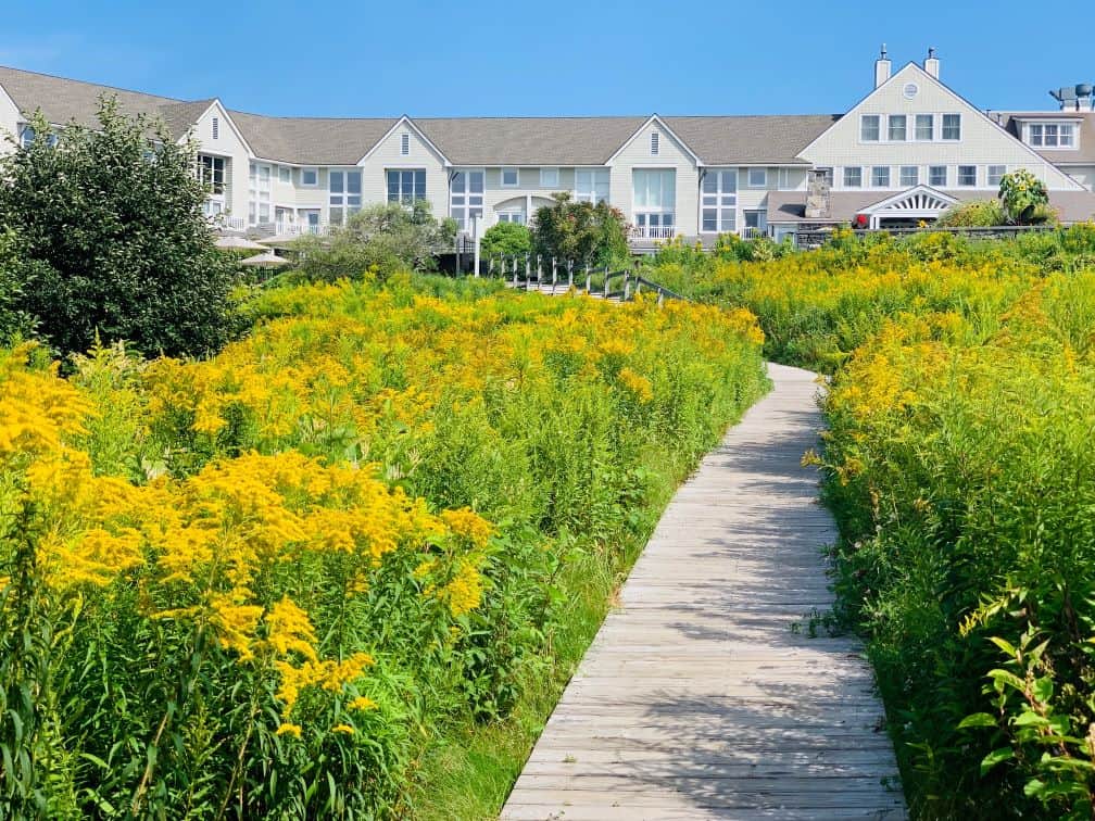 Inn by The Sea (Cape Elizabeth, Maine) -  Beyond Green