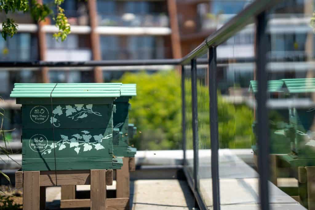 The Parkside Hotel & Spa (Victoria, British Columbia, Canada) -  Beyond Green