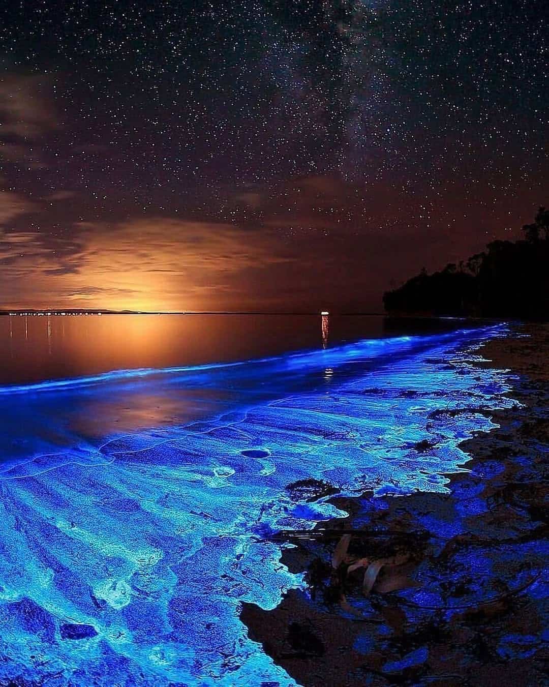 Night tourism adventures -Bioluminescence is one of the most surreal natural spectacles on the planet, night tourism