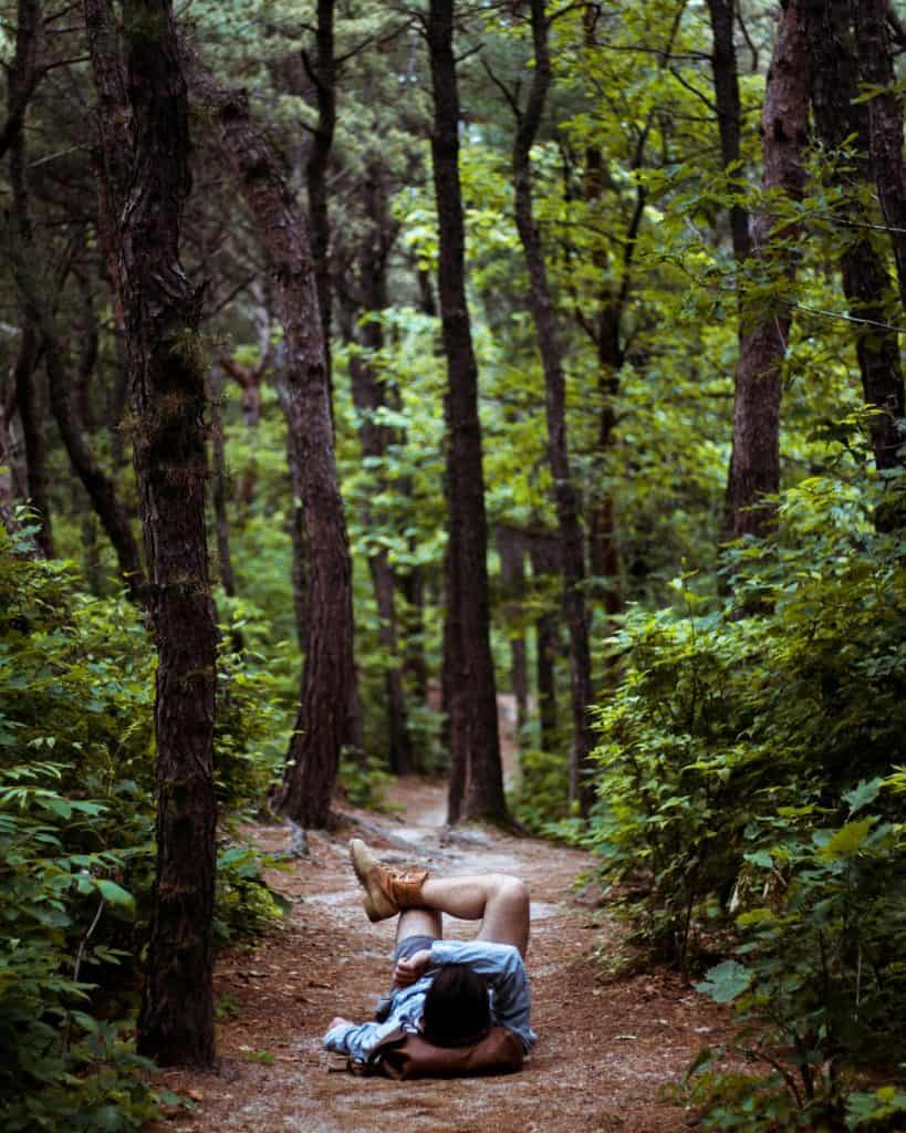 Forest Bathing, Image via Pexels 