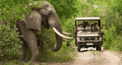 South African Tourism's India Roadshow 2025 is back with 40 exhibitors and 6 new products